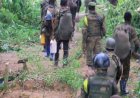 Nord - Kivu : au moins 17 civils tués lors des attaques des ADF à Beni et Irumu