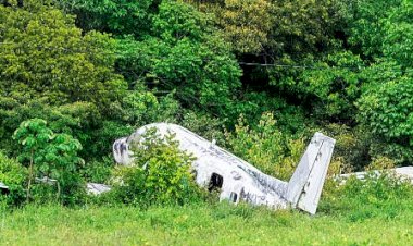 Ituri : Un arbre entrave l'atterrissage d'un avion à Mahagi