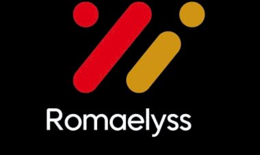 Romaelyss, la solution que vous méritez pour tout besoin ménager
