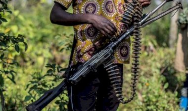 Beni : le P-DDRCS s’active pour la réédition des groupes armés