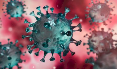 Alerte, la RDC aux aguets à ses frontières suite à la résurgence du COVID-19 