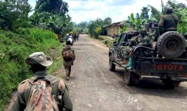 Situation sécuritaire : une trêve de deux semaines en vigueur à l’Est pour des besoins humanitaires