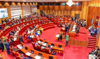 Sénat : L’élection du bureau définitif programmée au début du mois d'août