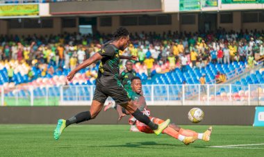 Vita bat Renaissance et gagne 3 places au classement 