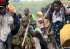 Insécurité dans l'Est de la RDC: Voici les statistiques des déplacés dans 3 semaines ( OCHA)