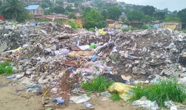 Environnement de la RDC:  l'article 63 de la constitution en détresse