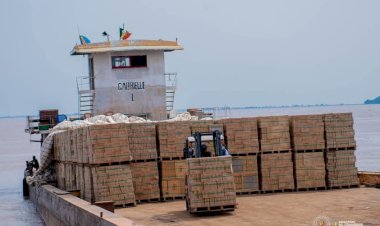 RDC: voici les produits que la RDC commercialise déjà à l'étranger