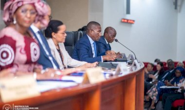 RDC : Vers une relance des Groupes Thématiques Sectoriels, Guylain Nyembo monte au créneau