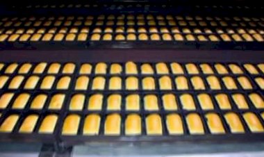 Protestation des agents Pains Victoire, halte à l'intox