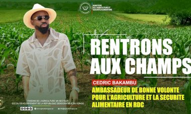 RDC : le footballeur Cédric Bakambu désigné ambassadeur de bonne volonté pour l'agriculture