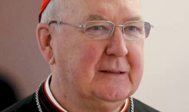 Décès du Pape : le cardinal Kévin Farrell désigné nouveau camerlingue de l'église