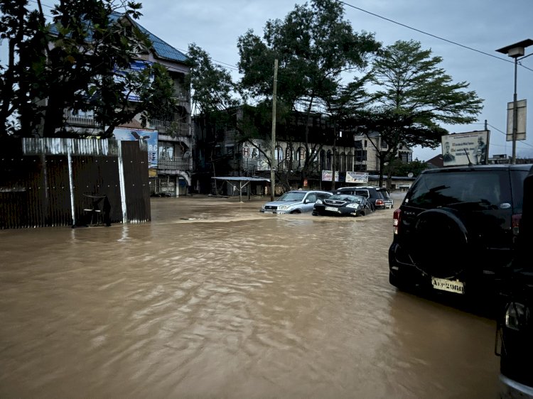 Inondations meurtrières à Kinshasa : au moins 22 morts, selon un bilan provisoire